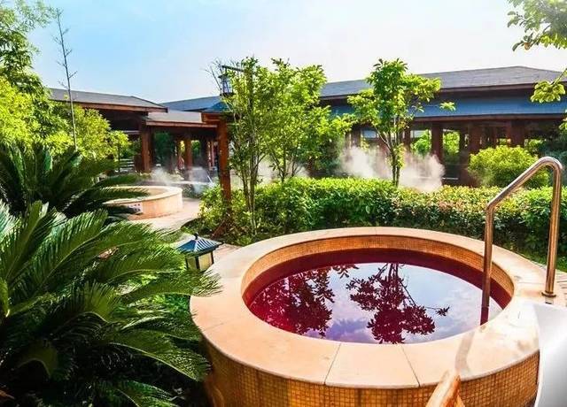 矿物质温泉机一套多少钱？